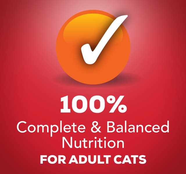 Purina Friskies Gravy Wet Cat Food Meaty Bits With Beef In Gravy 156 G