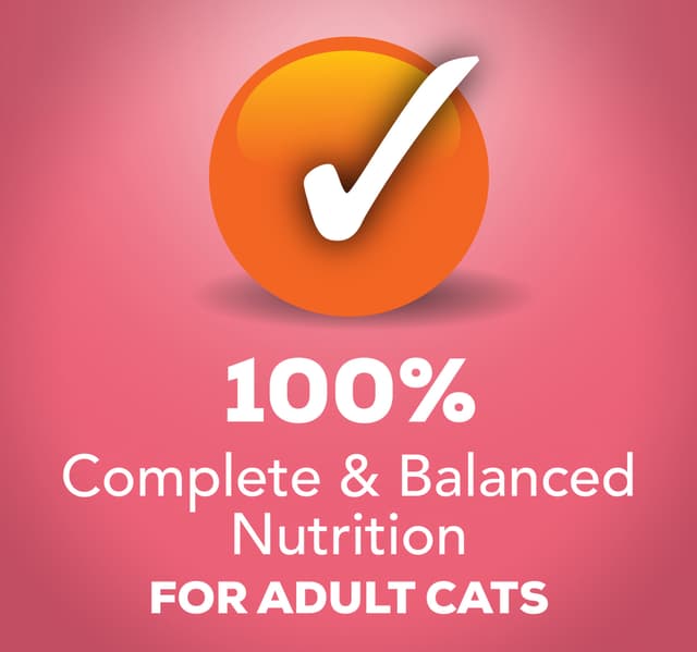 Purina Friskies Gravy Wet Cat Food Extra Gravy Chunky With Salmon In