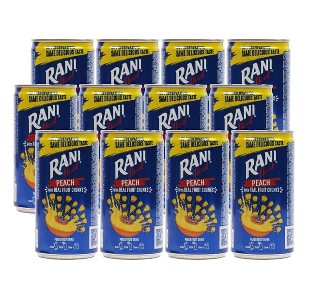 Rani Float Assorted Flavors 12 X 180 Ml