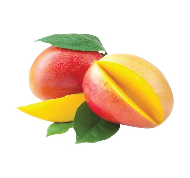 Mango 2 Pcs
