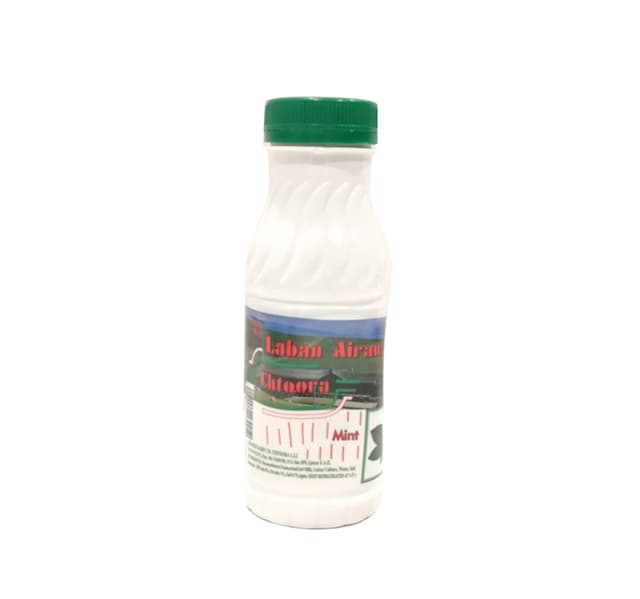 Chtoora Airan Laban With Mint 225 Ml