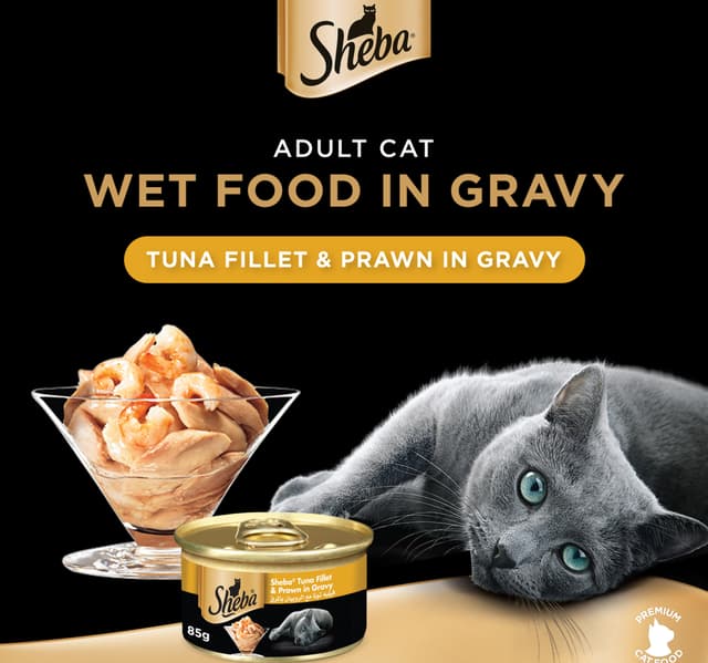Tuna Filets & Prawn In Gravy Cat Food
