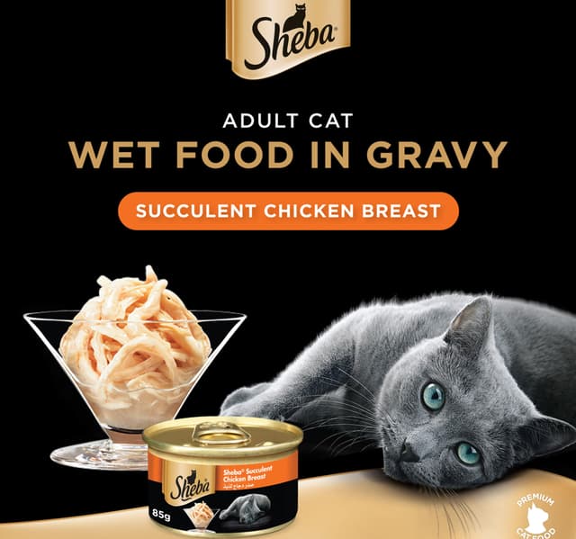 Succulent Chicken Breast Cat Food