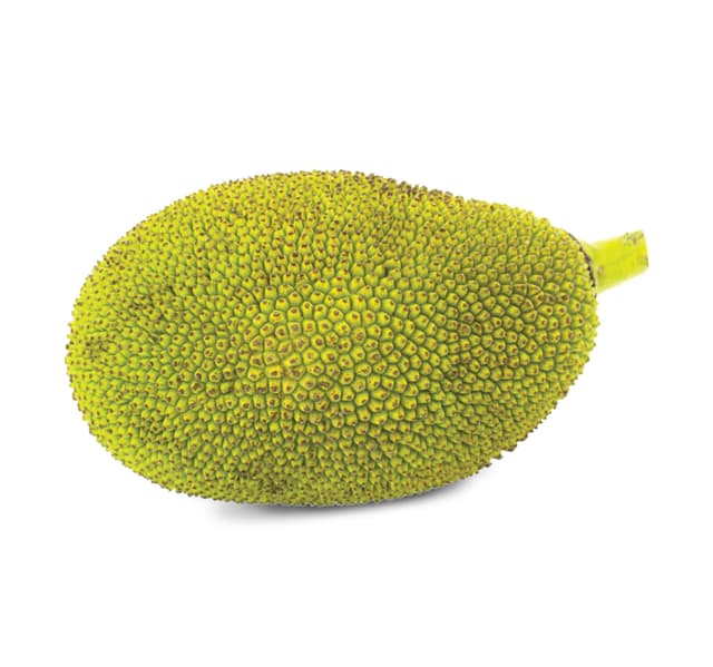 Tender Jackfruit Sri Lanka 1 Kg