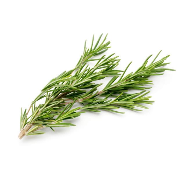 Rosemary Italy 1 Pkt