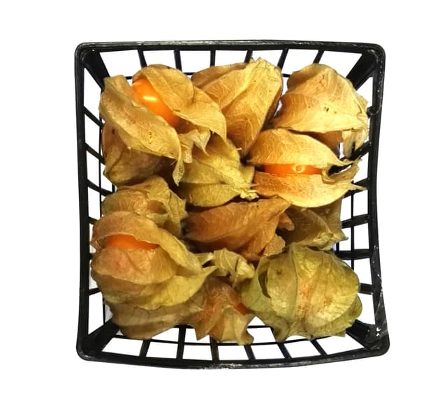 Physalis Columbia 1 Pkt