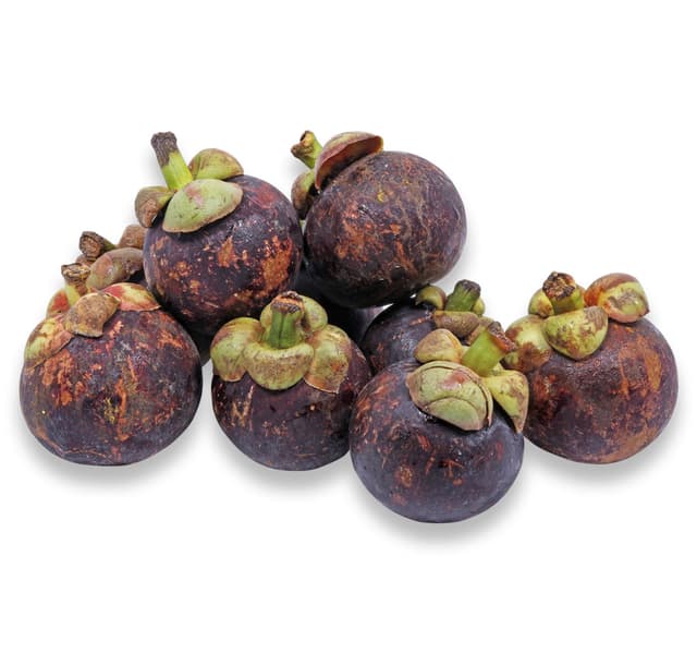 Mangosteen 1 Pkt