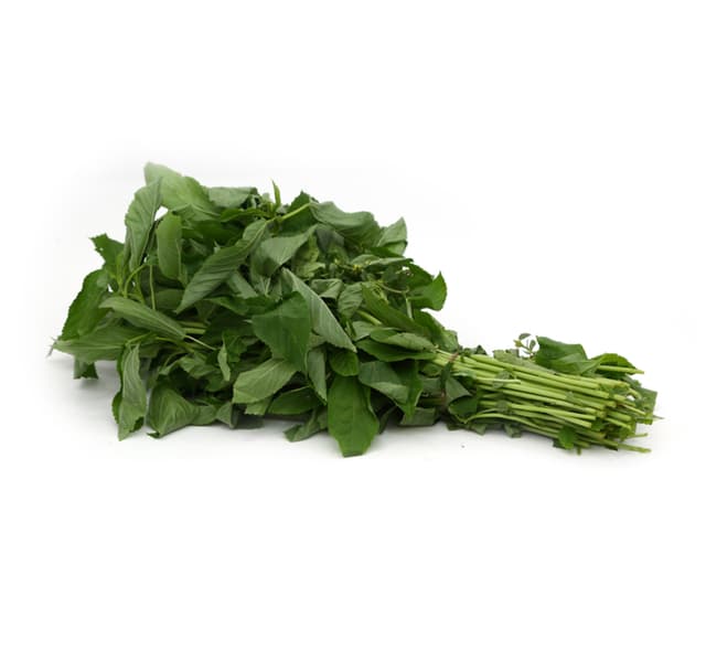 Molukia 1 Bunch