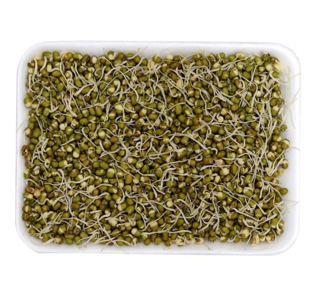 Beans Sprout 1 Pkt