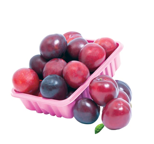 Plums Syria 1 Pkt