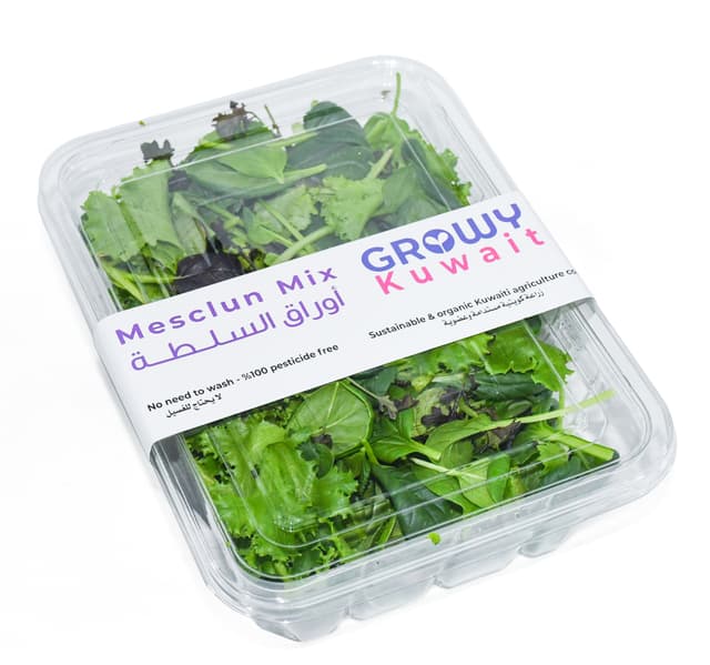 Growy Mesclun Mix Kuwait 100 G