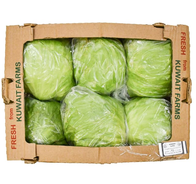 Iceberg Lettuce 2 4 Kg