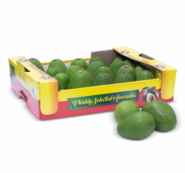 Avocado Kenya 4 Kg