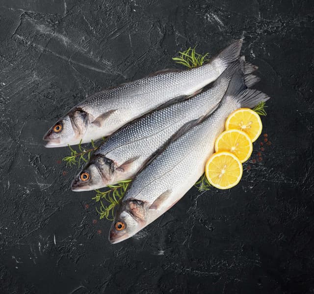 Egyptian Sea Bass Fish Medium 1 Kg