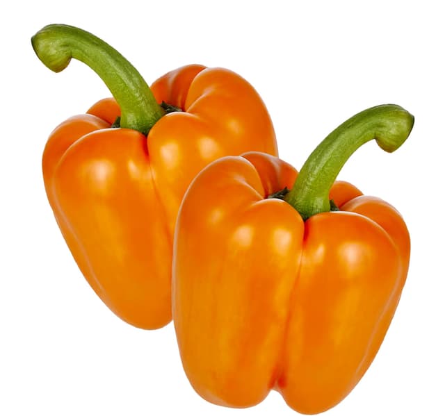 Capsicum Orange Holland 500 G