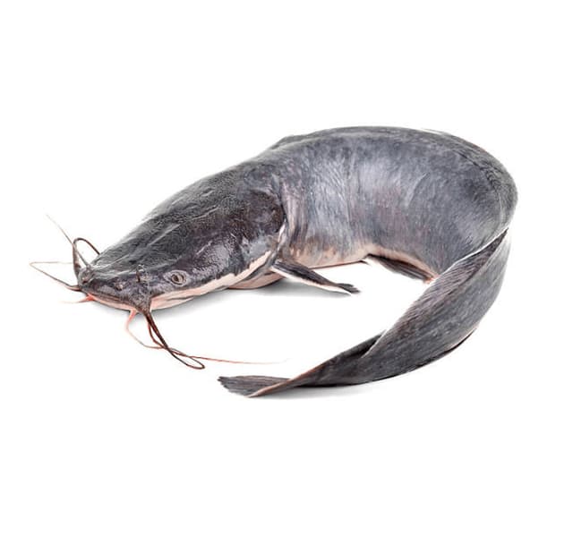 Cat Fish Aatu Vala Whole Cleaned 1 Kg