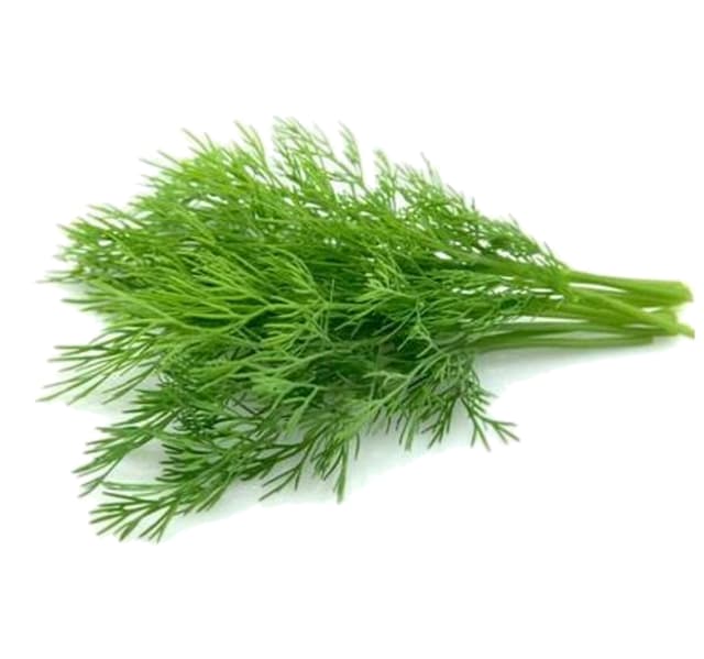 Dill Leaves 200g