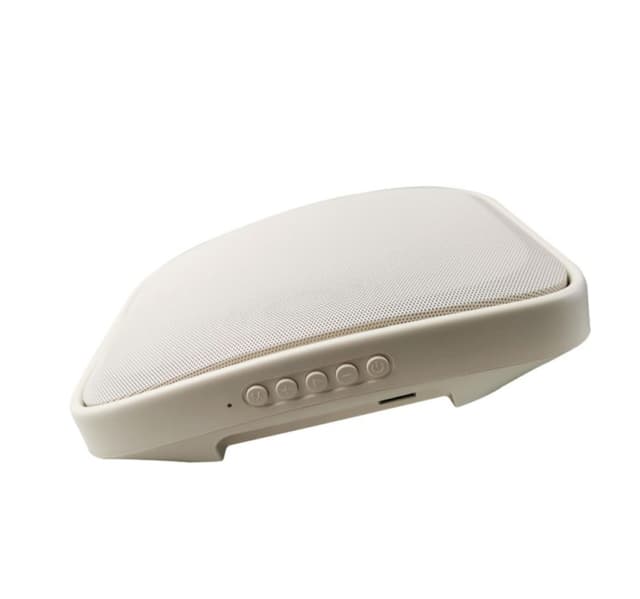 Trands Portable Wall Speaker Sp2080