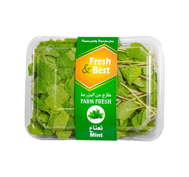 Fresh Best Mint Leaves 1 Pkt