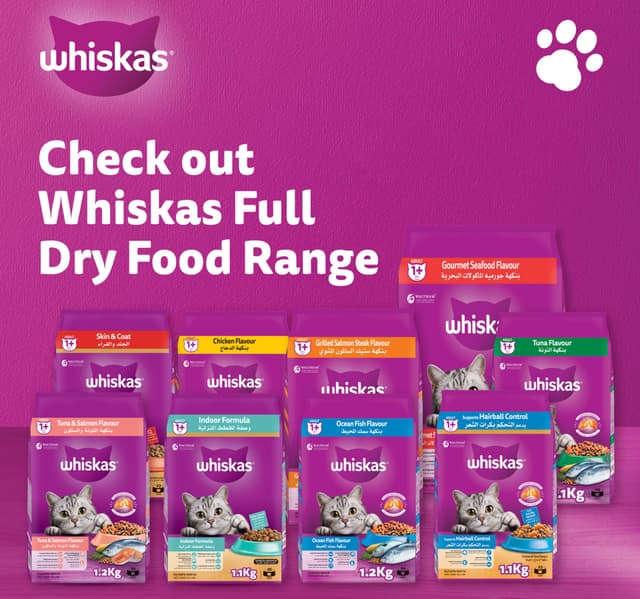 Whiskas Skin Coat Dry Cat Food Bag 1 1 Kg