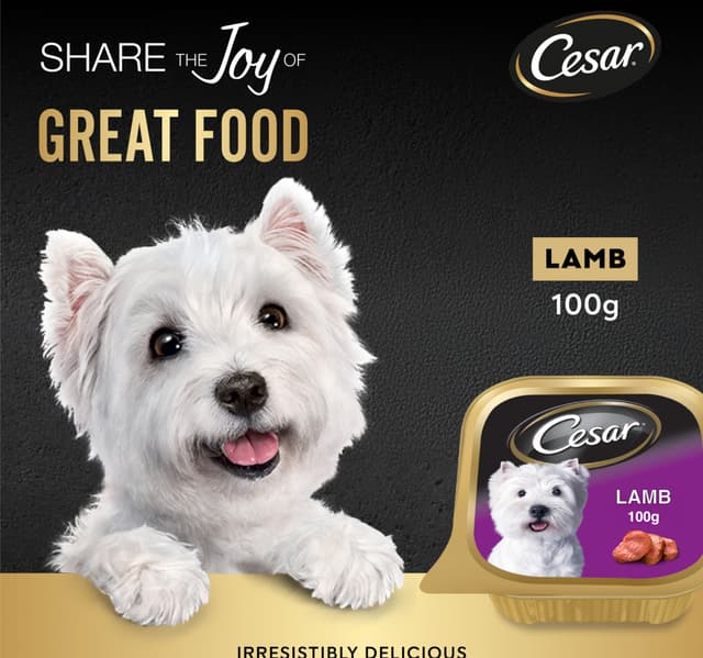 Lamb Dog Wet Food