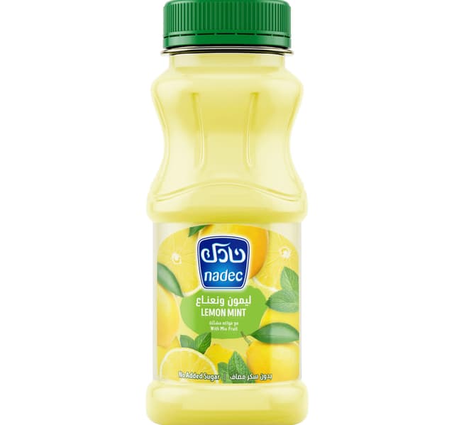 Nadec No Added Sugar Lemon Mint Juice With Mix Fruit 180 Ml