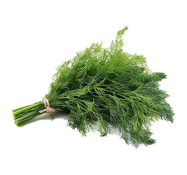 Farmers Market Dill Bunch