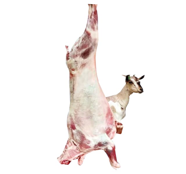 Pre Order Teys Whole Lamb 9 Kg To 12 Kg
