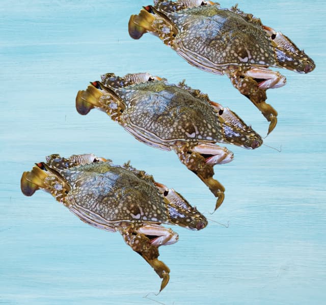 Fresh Crab Local Big 1 Kg