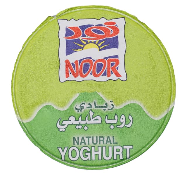 Noor Full Cream Yoghurt 160 G