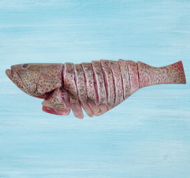 Hammour Fish Cuts 1 Kg