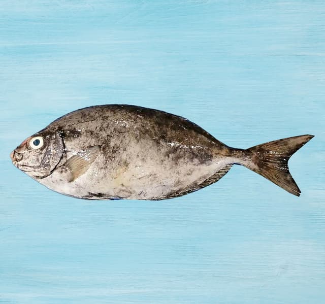 Safi Fish Small Whole Cleaned 1 Kg