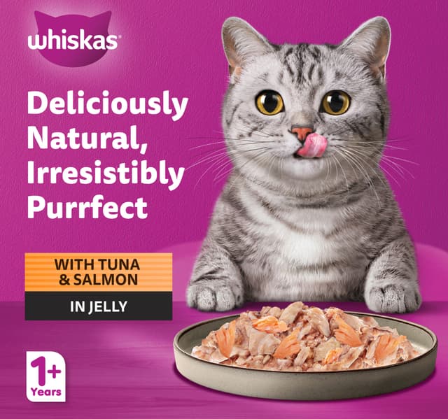 Purrfectly Fish Tuna & Salmon Wet Cat Food