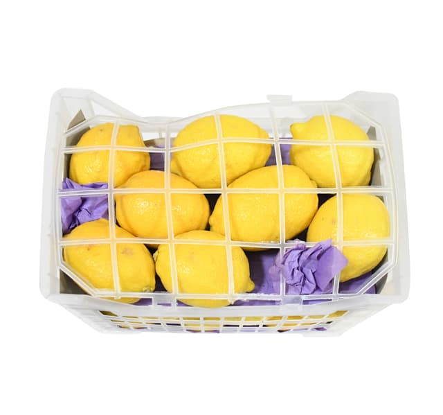 Lemon Big 3 Kg