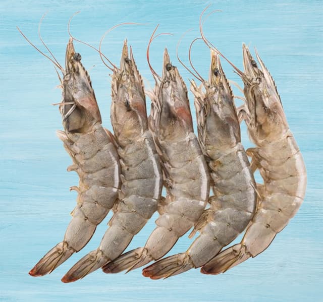 Farmed Prawns 20 30 500 G