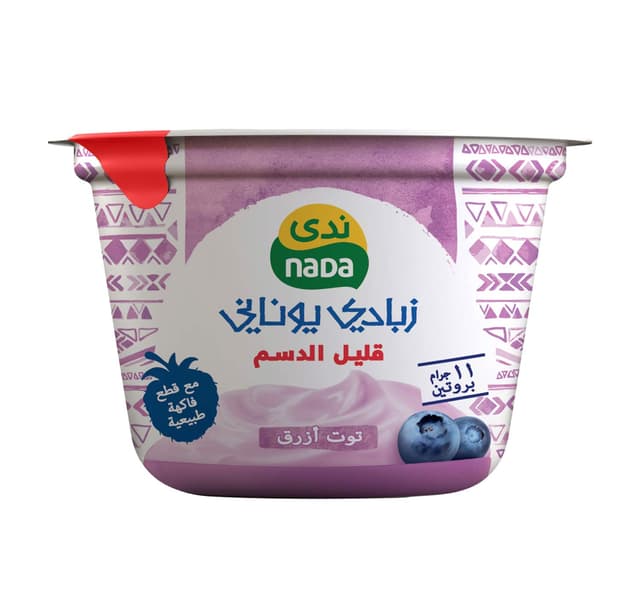 Greek Yogurt Blueberry Low Fat 160G | Brand: Nada