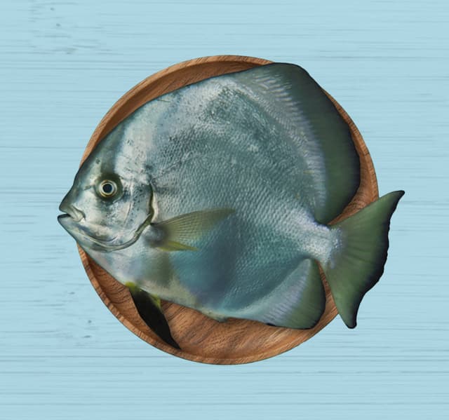 Fresh Fasker Fish 1 Kg