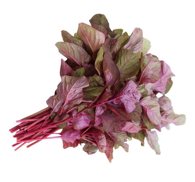 Cheera Red 1 Bunch