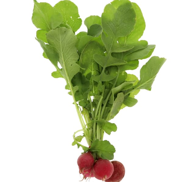 Red Radish Leaves 1 Bunch