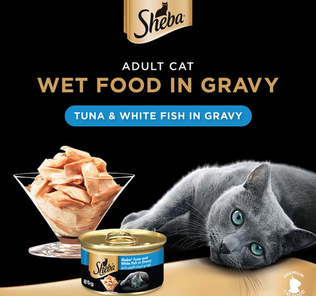 Tuna & White Fish Cat Food