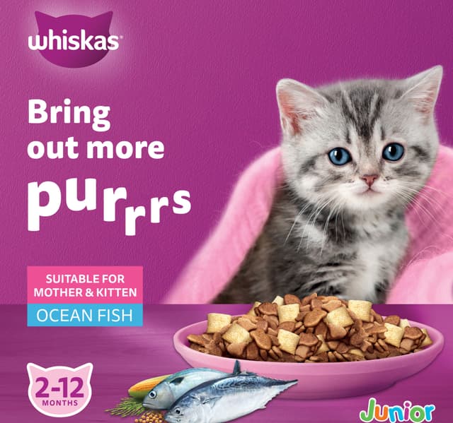 Junior Ocean Fish With Milk Dry Cat Food