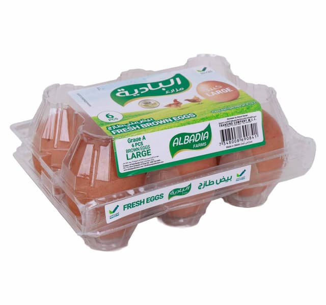 Al Badia Fresh Brown Eggs Large 6 pcs