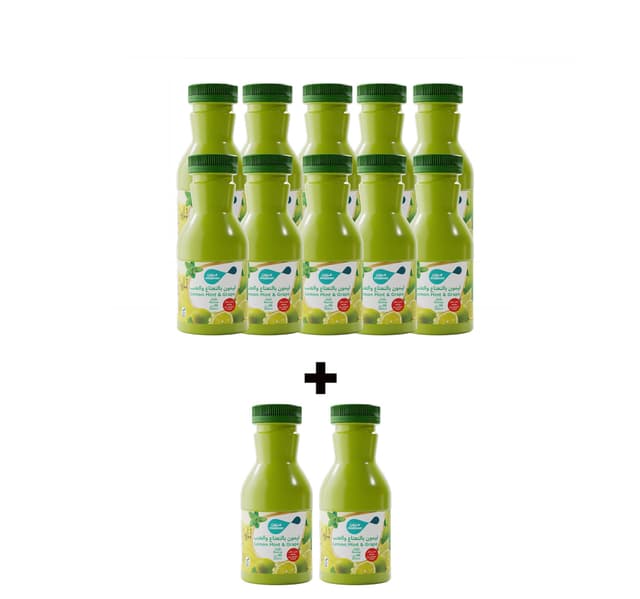 Mazoon No Added Sugar Lemon Mint Grape Nectar 12 X 200 Ml
