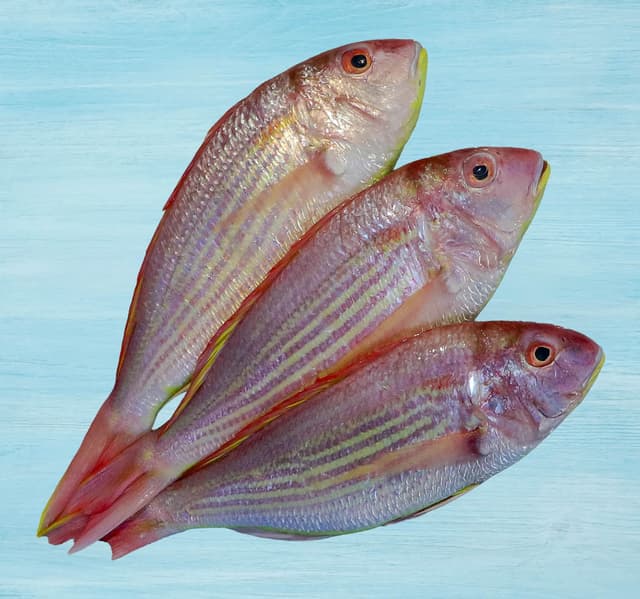 Fresh Sultan Ibrahim Whole Cleaned 500 G