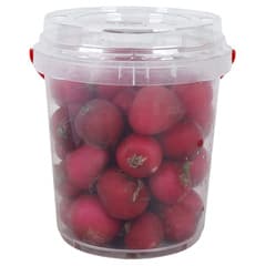 Red Radish