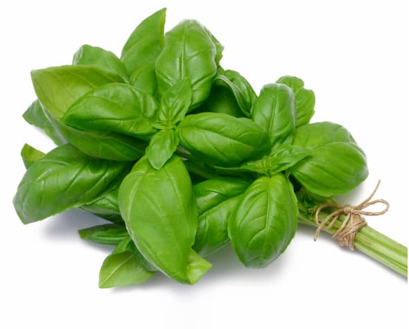 Local Basil(Rayhan) Bunch