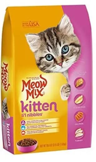 Kitten Little Nibbles