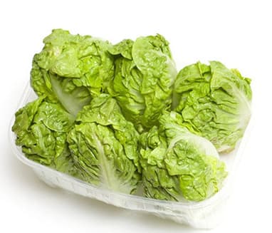 Spanish Baby Gem Lettuce Packet
