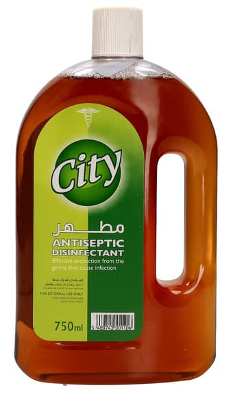 City Antiseptic Disinfectant Liquid 750Ml