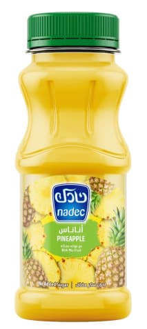 Nadec Pineapple With Mix Fruit Nectar No Added Sugar 180Ml